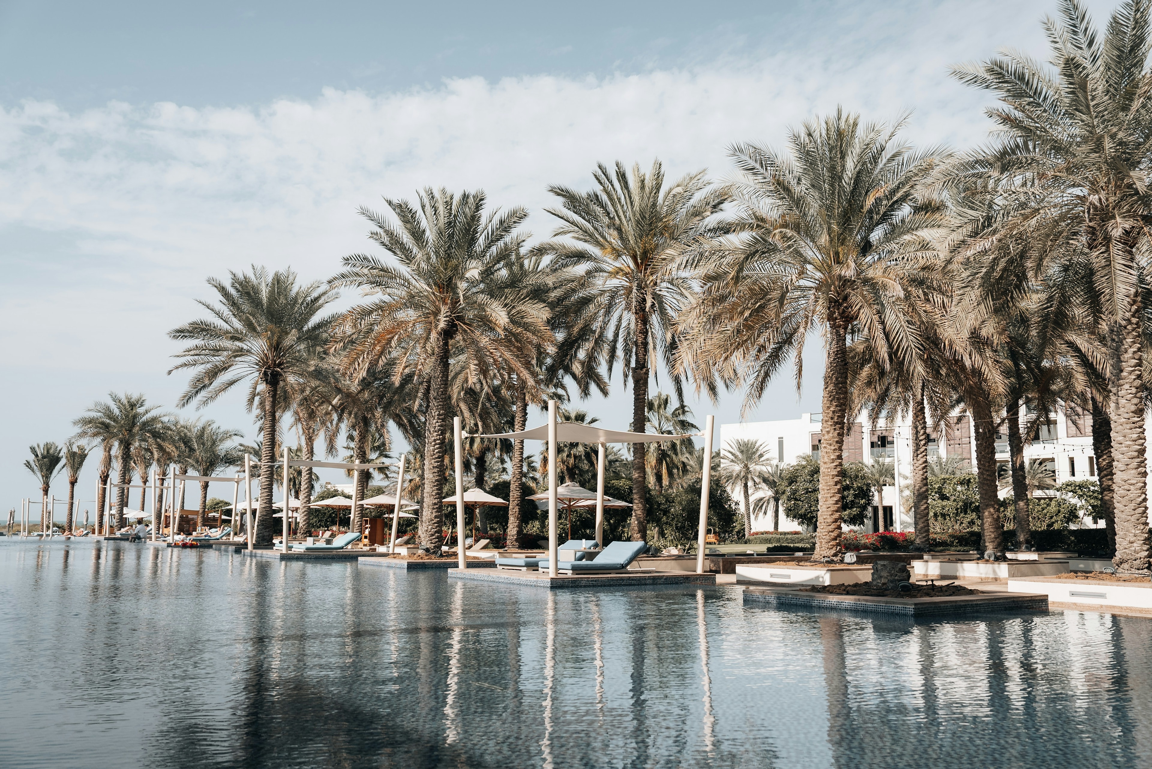 Palm trees reflected in a still pool on a sunny day