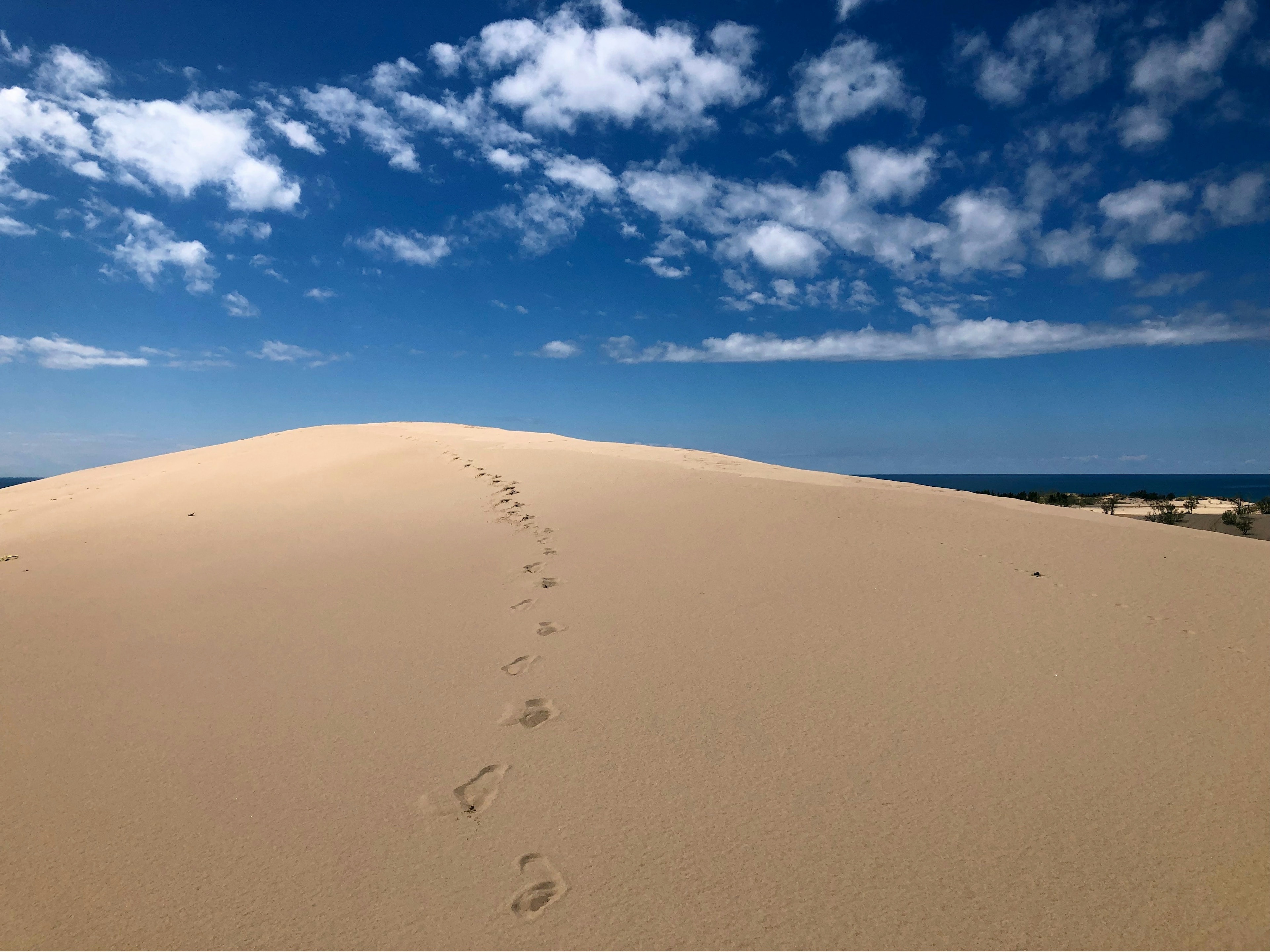 Footprints leading up the crest of a sand dune